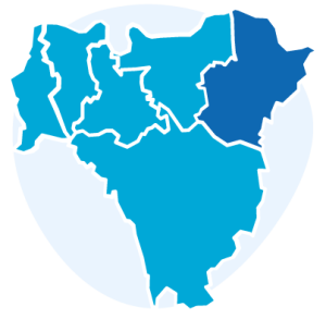 Icon representing a map of the six Boroughs of south east London, with five Boroughs in light blue and Bexley coloured in dark blue. Behind the map, a circle in lighter blue