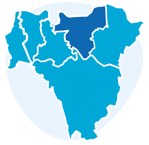 Icon representing a map of the six Boroughs of south east London, with five Boroughs in light blue and Greenwich coloured in dark blue. Behind the map, a circle in lighter blue