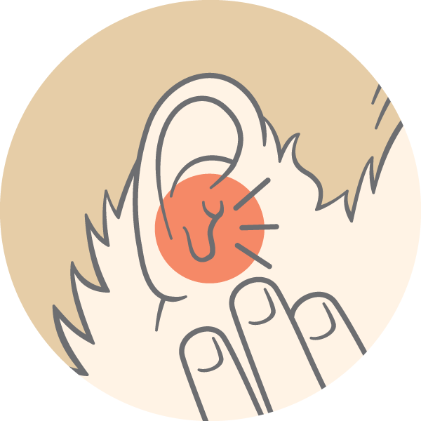 Illustration of a ear, with a red circle and lines to signify pain