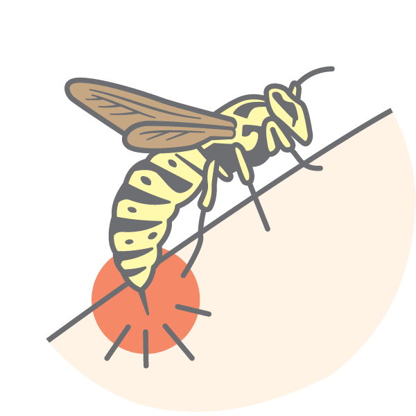 Image of a bee stinging someone's arm, with a red circle and lines to indicate pain